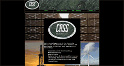 Desktop Screenshot of cassholdings.com